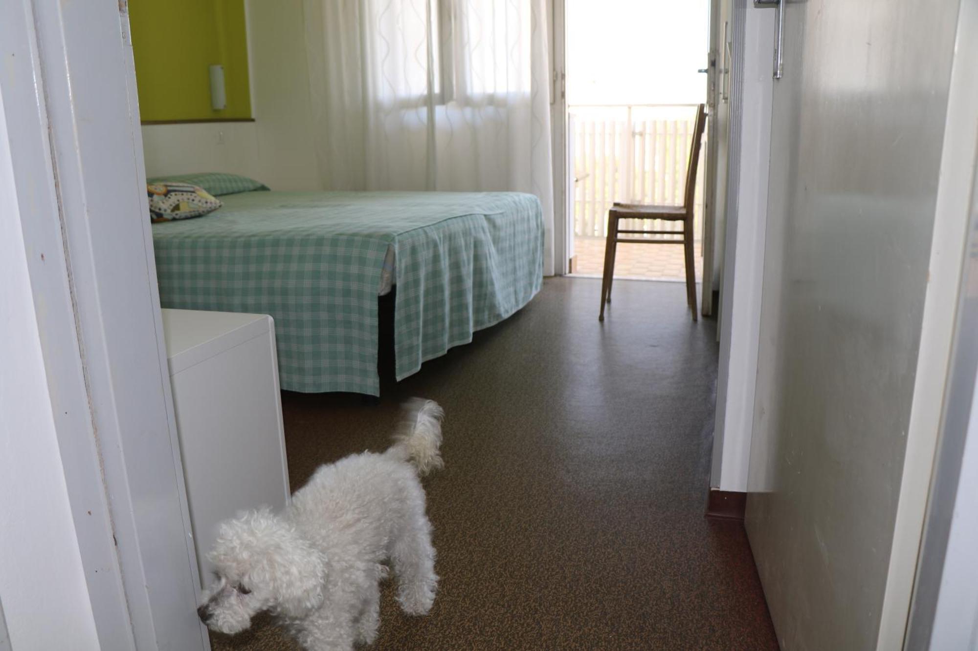 ביביונה Villa Silente L מראה חיצוני תמונה